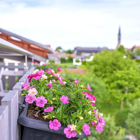 Chiemgauglück *